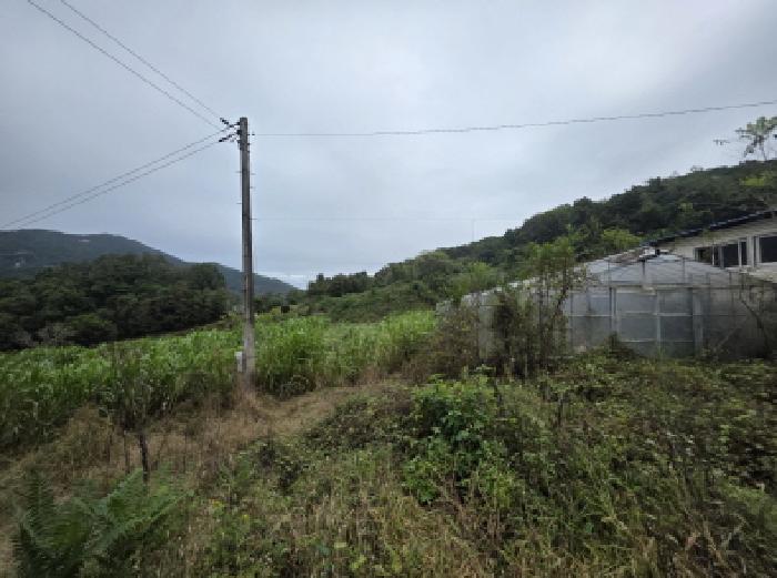 충북 제천시 송학면 창고시설 경매 물건 사진 6 · 2025타경160