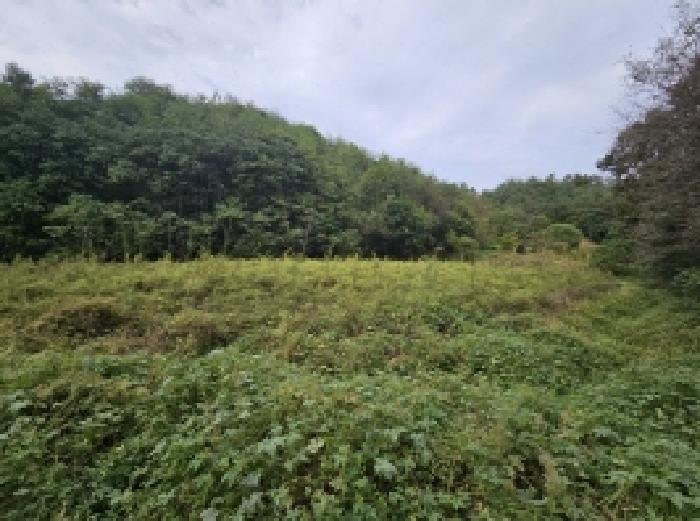 충북 제천시 장락동 전 경매 물건 사진