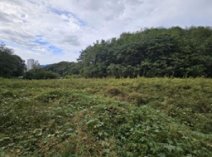 충북 제천시 장락동 전 경매 물건 사진 4 · 2025타경161