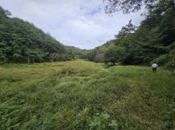 충북 제천시 장락동 전 경매 물건 사진 5 · 2025타경161