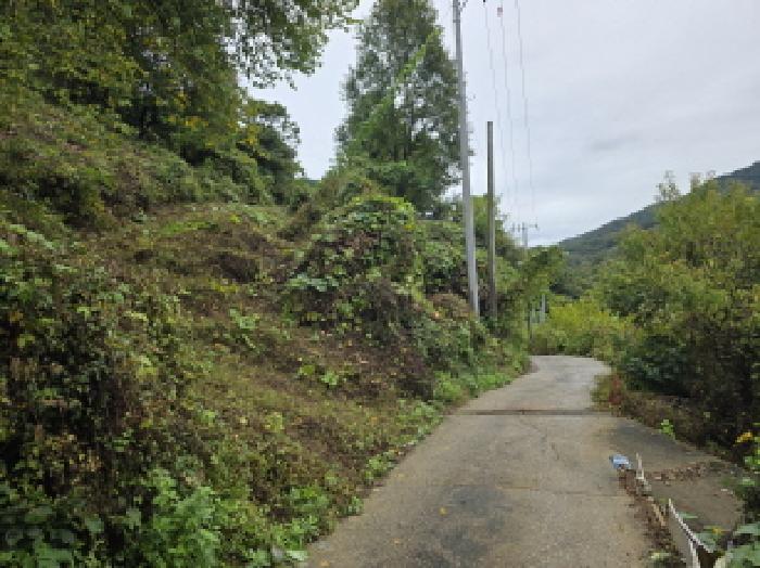 충북 제천시 송학면 전 경매 물건 사진