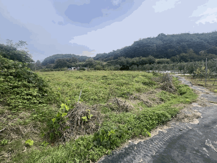 충북 제천시 산곡동 답 경매 물건 사진 3 · 2025타경164