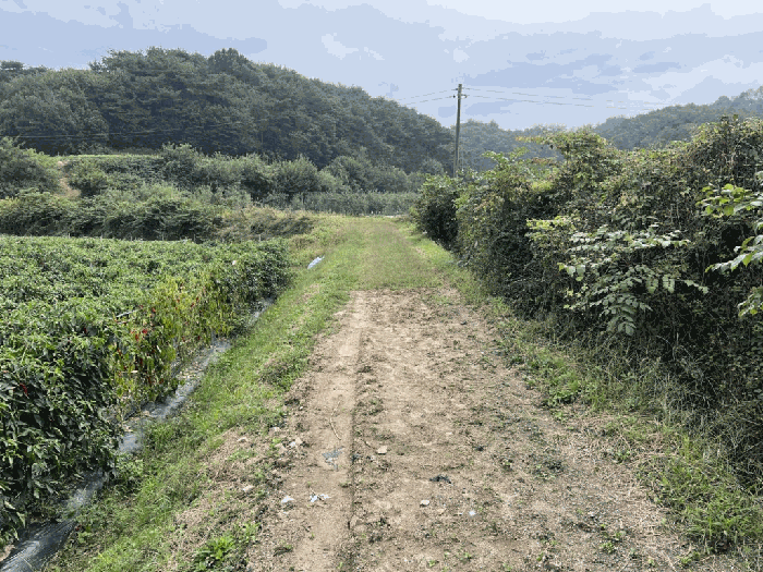 충북 제천시 산곡동 답 경매 물건 사진 5 · 2025타경164