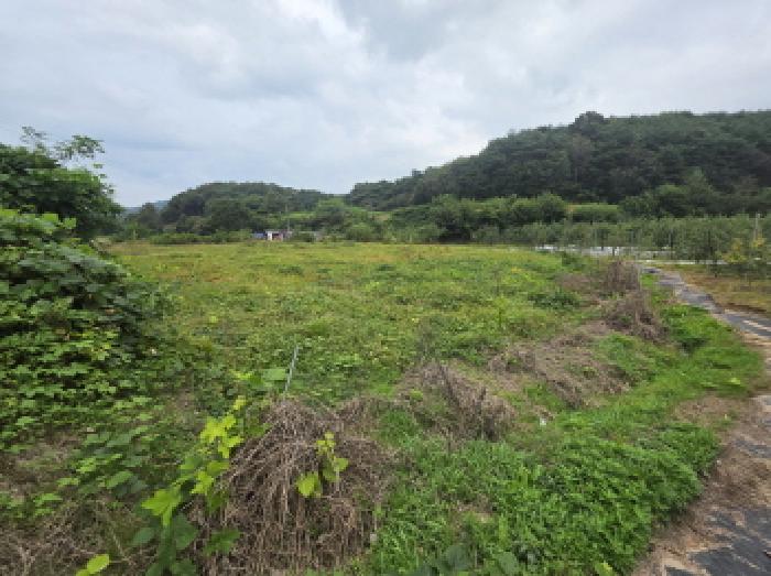 충북 제천시 산곡동 답 경매 물건 사진