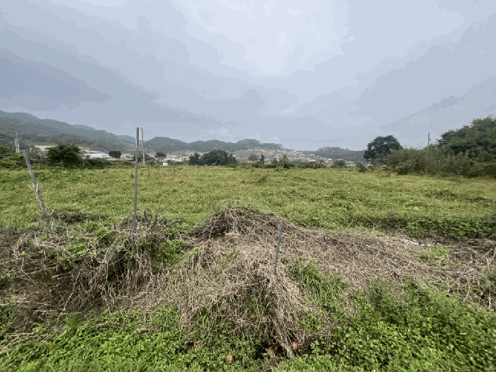 충북 제천시 산곡동 답 경매 물건 사진 2 · 2025타경164