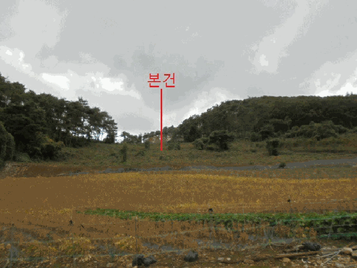 충북 단양군 영춘면 전 경매 물건 사진 3 · 2025타경172