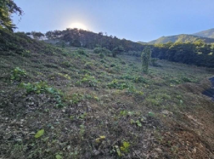 충북 단양군 영춘면 전 경매 물건 사진
