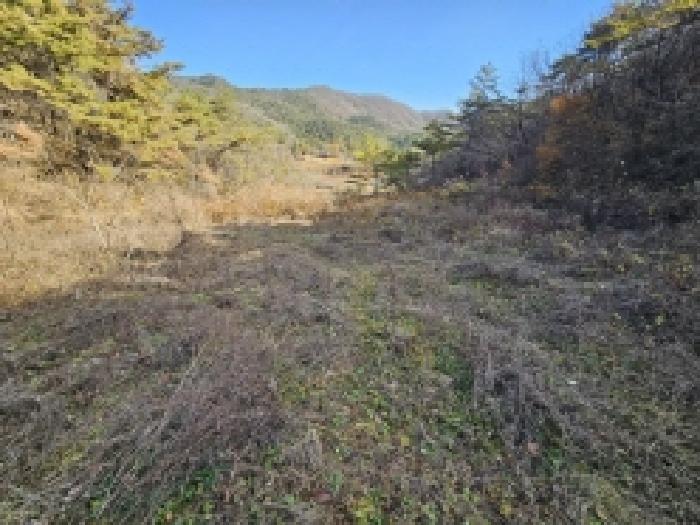 충북 제천시 봉양읍 전답 경매 물건 사진 5 · 2025타경178