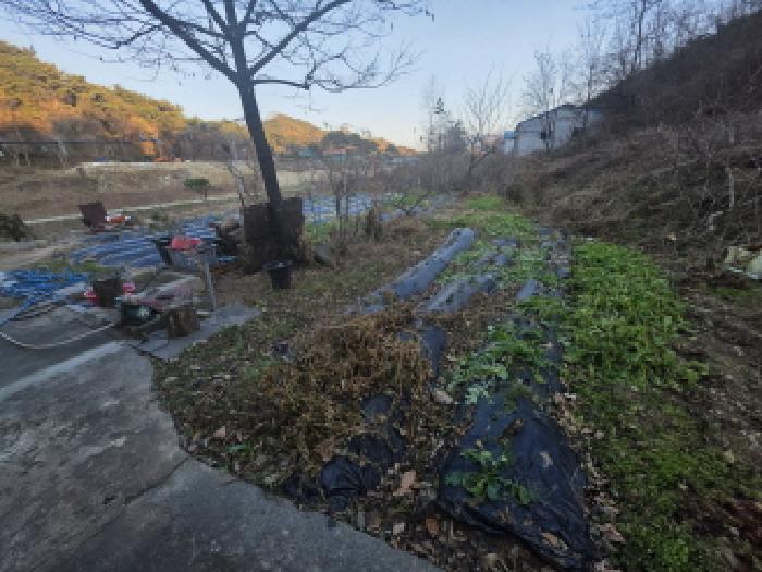 충북 제천시 송학면 전 경매 물건 사진