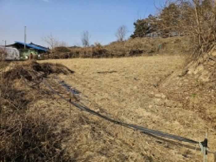 충북 제천시 고명동 전 경매 물건 사진