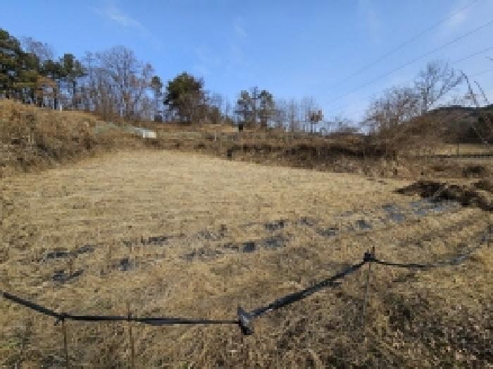 충북 제천시 고명동 전 경매 물건 사진 2 · 2025타경183