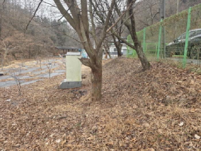 충북 제천시 봉양읍 근린생활시설 경매 물건 사진 3 · 2025타경194