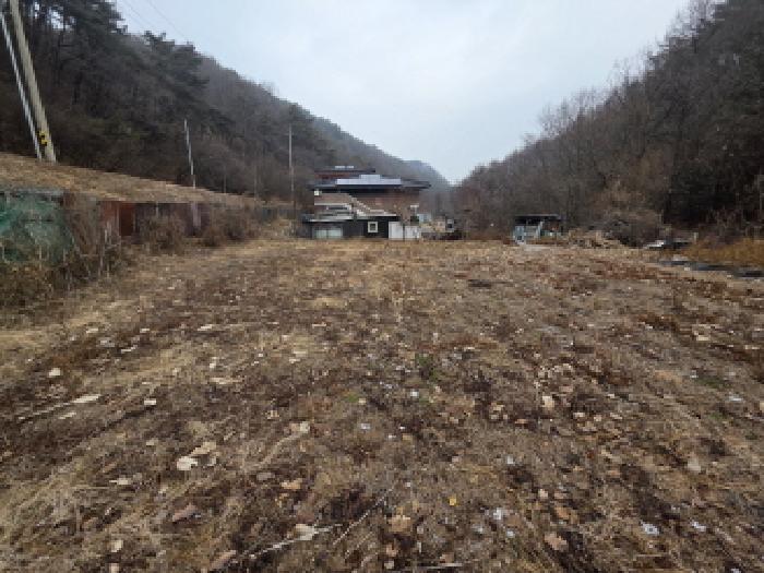 충북 제천시 봉양읍 근린생활시설 경매 물건 사진 6 · 2025타경194
