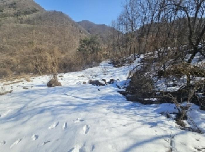 충북 단양군 단양읍 전 경매 물건 사진 3 · 2025타경5161