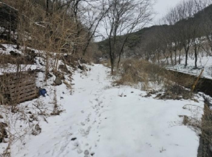 충북 단양군 가곡면 전 경매 물건 사진
