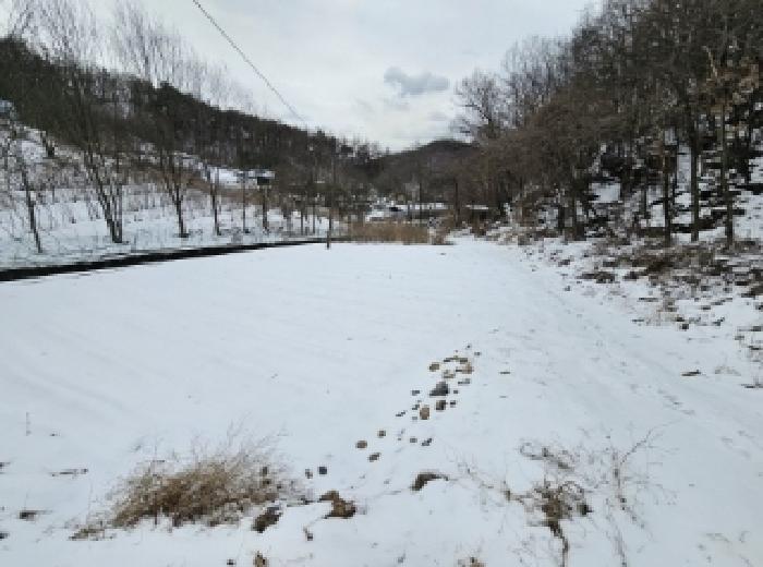 충북 단양군 가곡면 전 경매 물건 사진 2 · 2025타경5252