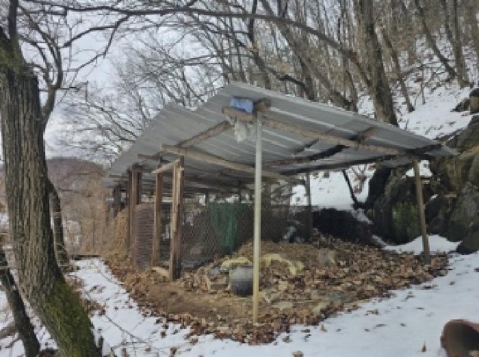 충북 단양군 가곡면 전 경매 물건 사진 4 · 2025타경5252