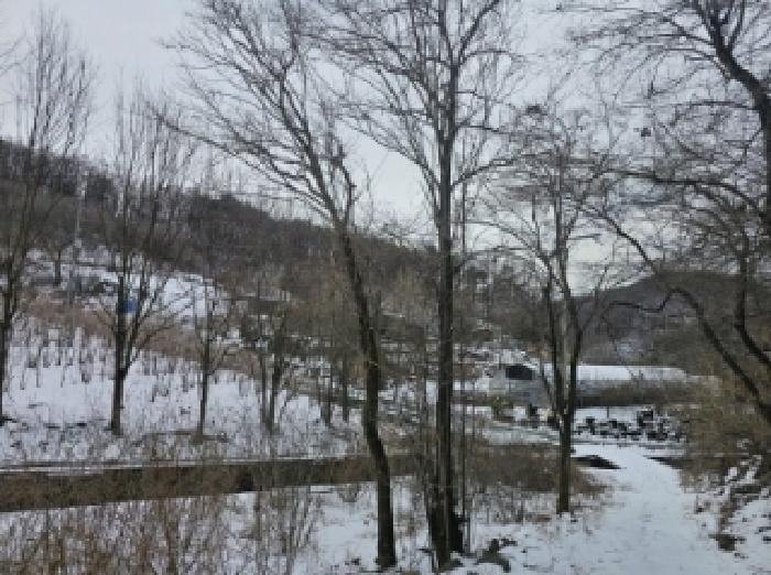 충북 단양군 가곡면 전 경매 물건 사진 5 · 2025타경5252