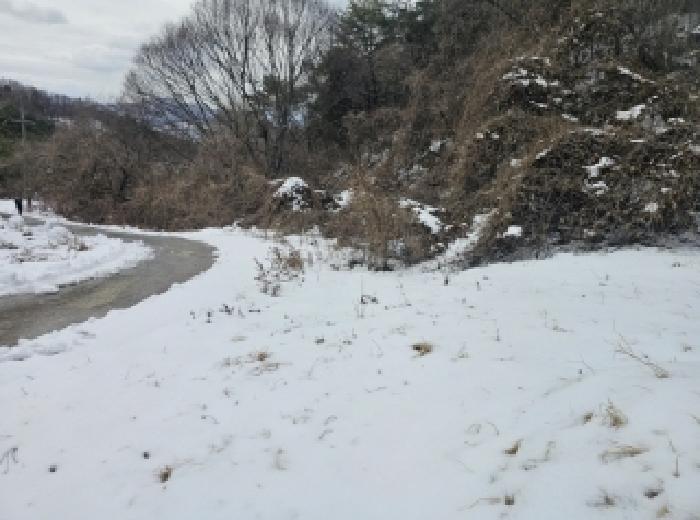 충북 단양군 가곡면 전 경매 물건 사진 6 · 2025타경5252