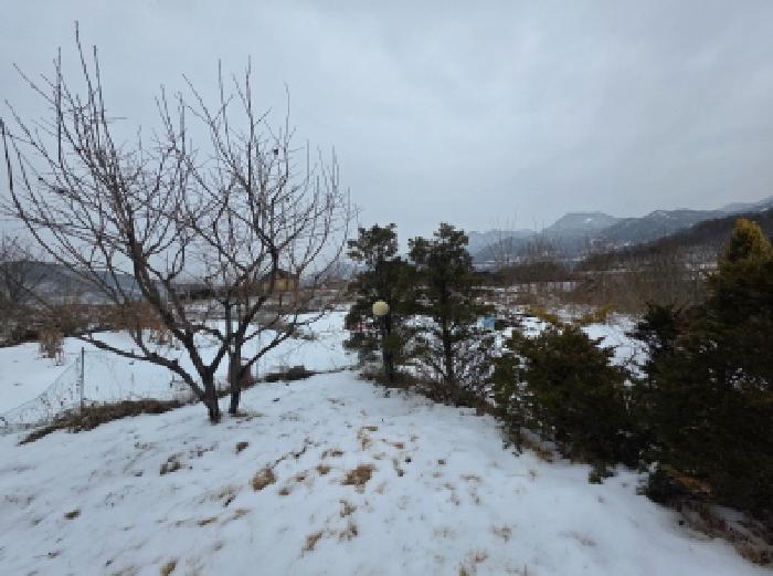 충북 제천시 청풍면 전 경매 물건 사진 3 · 2025타경5259