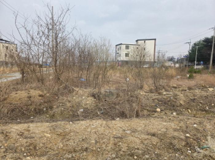 충북 제천시 왕암동 전 경매 물건 사진 3 · 2025타경5280