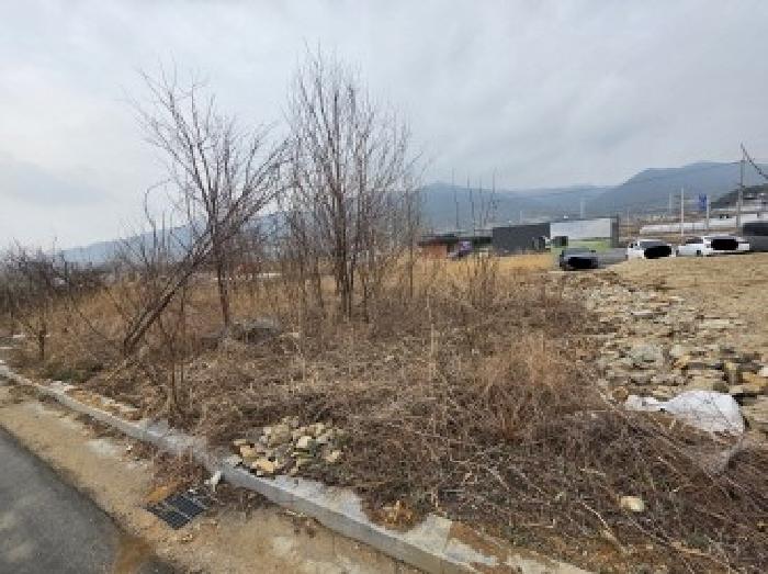 충북 제천시 왕암동 전 경매 물건 사진 5 · 2025타경5280