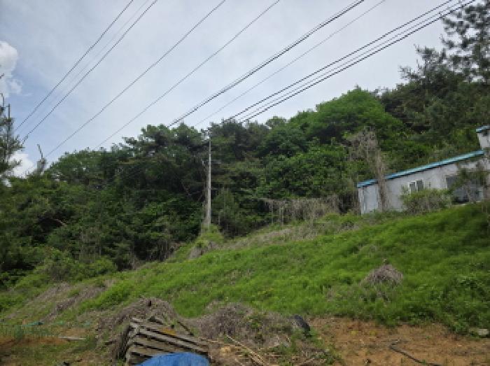 충북 제천시 금성면 공장/지식산업센터 경매 물건 사진