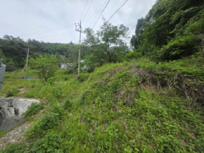 충북 제천시 금성면 공장/지식산업센터 경매 물건 사진 2 · 2025타경5314