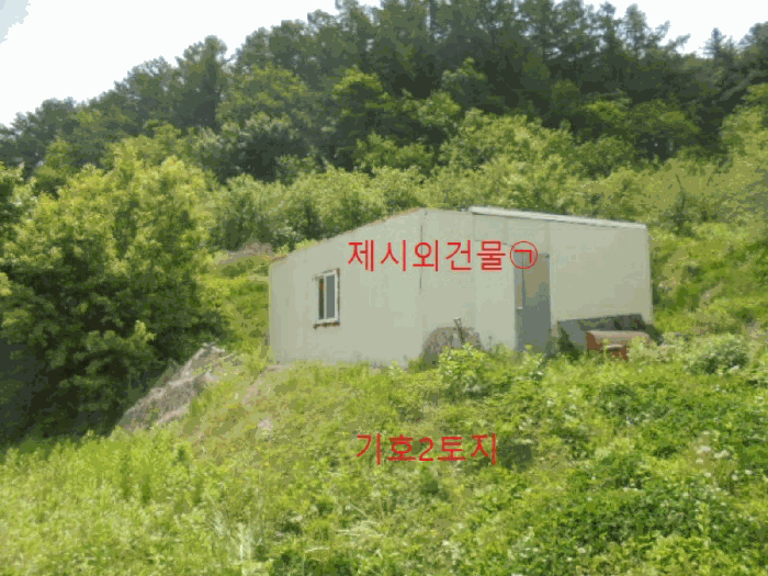 충청북도 단양군 대강면 신구리 62-1 전 경매 물건 사진
