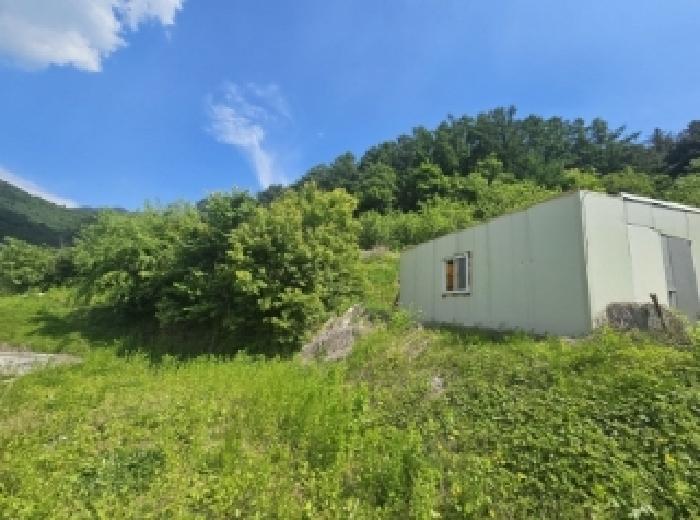 충북 단양군 대강면 전 경매 물건 사진 6 · 2025타경5317