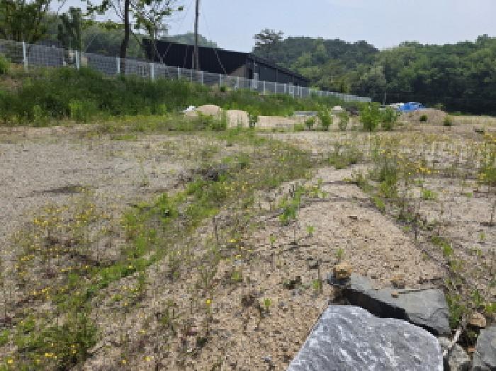충북 제천시 왕암동 도로 경매 물건 사진 6 · 2025타경5318