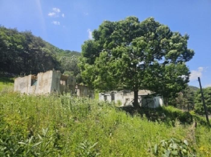 충북 단양군 단성면 대지 경매 물건 사진