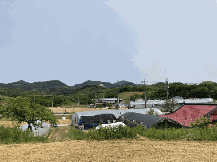 충북 제천시 흑석동 임야 경매 물건 사진 6 · 2025타경5327