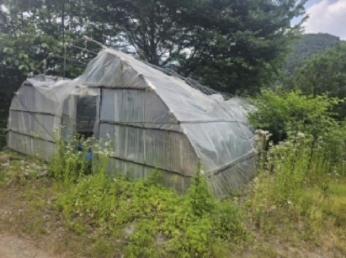 충북 단양군 영춘면 창고시설 경매 물건 사진 3 · 2025타경5334