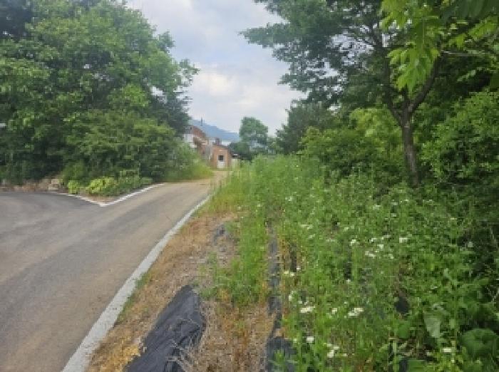 충북 단양군 영춘면 창고시설 경매 물건 사진 5 · 2025타경5334