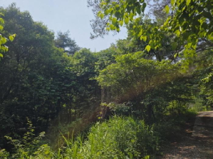 충북 제천시 한수면 임야 경매 물건 사진 2 · 2025타경5339