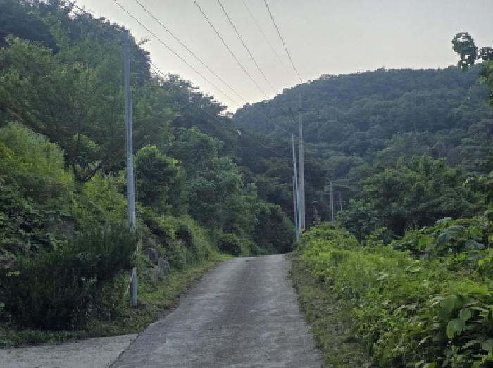 충북 제천시 한수면 임야 경매 물건 사진 5 · 2025타경5339