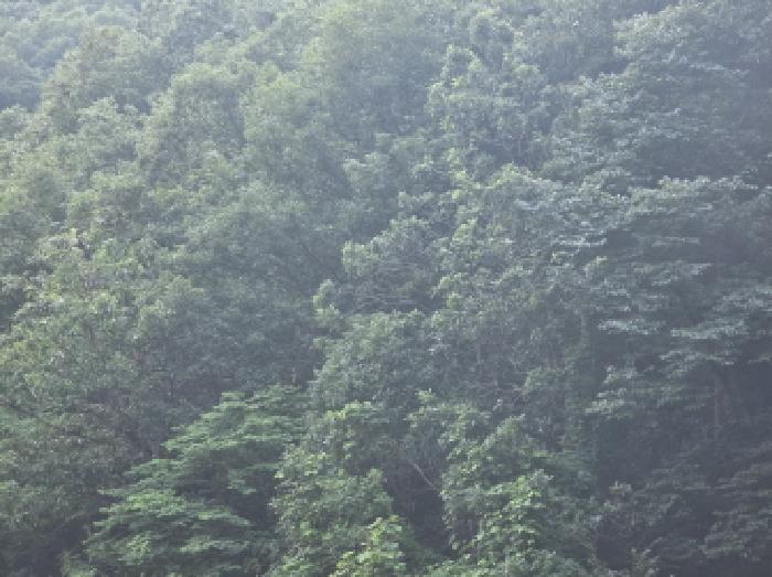 충북 제천시 한수면 임야 경매 물건 사진 6 · 2025타경5339