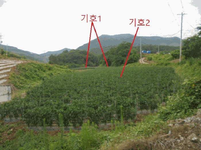 충북 단양군 어상천면 전 경매 물건 사진 4 · 2025타경5341