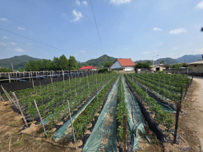 충북 제천시 백운면 대지 경매 물건 사진 3 · 2025타경5342