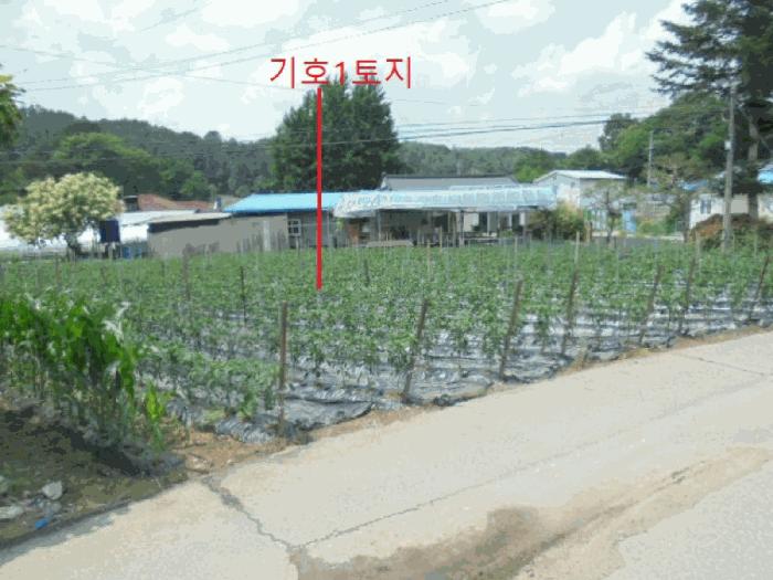 충북 제천시 백운면 대지 경매 물건 사진