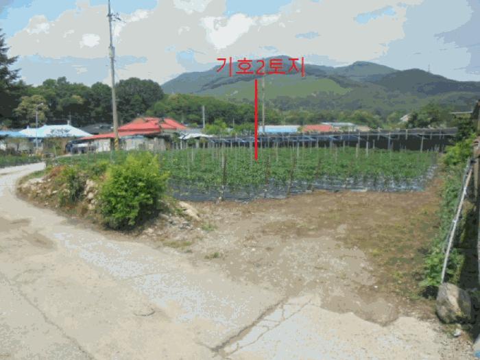 충북 제천시 백운면 대지 경매 물건 사진 5 · 2025타경5342