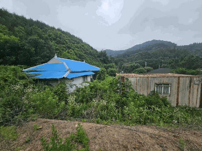 충북 제천시 금성면 대지 경매 물건 사진 6 · 2025타경5343