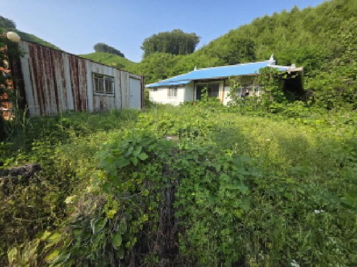 충북 제천시 금성면 대지 경매 물건 사진