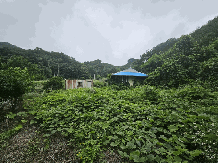 충북 제천시 금성면 대지 경매 물건 사진 3 · 2025타경5343