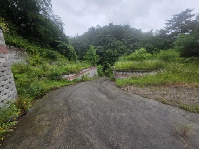 충북 제천시 백운면 임야 경매 물건 사진