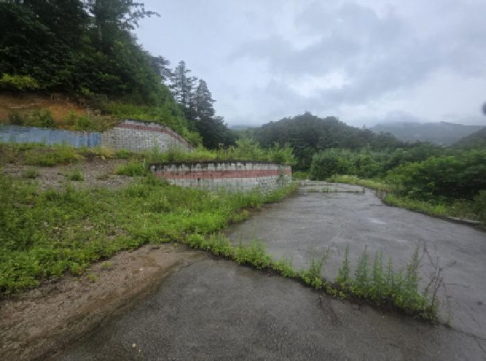충북 제천시 백운면 임야 경매 물건 사진 2 · 2025타경5354