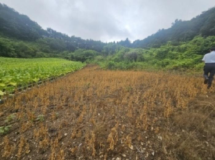 충북 단양군 영춘면 전 경매 물건 사진 2 · 2025타경5358