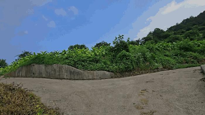 충북 단양군 영춘면 전 경매 물건 사진 3 · 2025타경5358