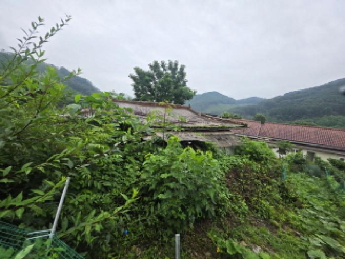 충북 제천시 봉양읍 답 경매 물건 사진 3 · 2025타경5369